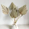 Decorative Flowers 5/10 Pcs Boho Dried Palm Natural Heart-shaped Fan Home Decoration Living Room Accessories