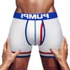 Underbyxor 2023 Man undewear Men Cotton Boxershorts Comferable Manliga trosor Gay Sexiga underkläder Boxer Men's