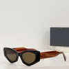 Designer män och kvinnor bolle solglasögon solglasögon mode VLS-101A unik design UV-skyddskvalitet Lyxskyddsglasögon