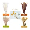 Decorative Flowers 66Pcs Dried Pampas Grass Decor Real Reed Fluffy Dry Wedding DIY Bohemian Natural Bouquet For Home