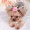 Vêtements de chien Clips de cheveux Chat Sweet Bubble Bow Épingles à cheveux Chiot Fournitures de beauté Pet Papillon Noeud Floral Accessoires de toilettage Barrette