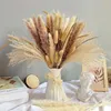 Decorative Flowers 66Pcs Dried Pampas Grass Decor Real Reed Fluffy Dry Wedding DIY Bohemian Natural Bouquet For Home