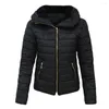 Women's Down Chic Stand Collar Solid Color Puffer Coat Winter Jacket Skin-Touch All-Match