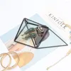 Ювелирные мешочки для хранения пирамиды стеклянная террариум держатель дизайнерского дизайна прозрачного граняного сочного воздушного салона горшок/на память (нет