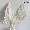 Flores decorativas 5/10 PCs Boho Palm seco natural em forma de coração Decoração doméstica Acessórios para sala de estar