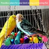 Inne zaopatrzenie ptaków Parrot Bird-Bird wiszący rozbicie huśtawka żuć-ptaszka drabiny zabawki z lusterką do kąpieli zabawkę