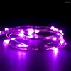 Corde 10pcs Multi-Colored DC 4.5V 20leds 2m Filo di rame LED String Light alimentato a batteria per la decorazione di nozze di Natale