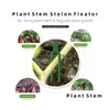 Autres fournitures de jardin 50pcs Stberry Plantation Fork Green Stolon Fixator Watermelon Vine Pressing Device Plantes Fixation Fixation Clam Dhue7