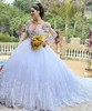 Glamorous Ball Gown Wedding Dresses V-neck Lace Applicants Transparent Sleeves Decorative Border Chapel Gown Sequins Custom Made Bridal Gown Vestidos De Novia