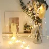 Strings Led String Light 3 Battery Copper Wire Fairy 2m Outdoor Lamp For Christmas Tree Garland Wedding Party Decoration