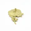 Brooches 1Pc Selling Flower Pins And The British Royal Family Corsage Victory Anniversary Brooch For Women Men