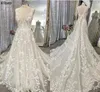 Fablous Leaf Lace Bohemian A Line Wedding Dresses For Women Sexy V Neck With Straps Long Court Train Bridal Gowns Open Back Plus Size Maternity Robes de Mariee CL1895