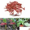 Andere tuinbenodigdheden 100set Plantenondersteuning Duurzame plastic enten Clips Groentebloem Tomaten Vine Bushes Planten Gereedschap Druppel Dhcov