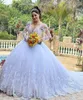 Glamorous Ball Gown Wedding Dresses V-neck Lace Applicants Transparent Sleeves Decorative Border Chapel Gown Sequins Custom Made Bridal Gown Vestidos De Novia