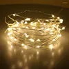 Cadenas 100 33 pies 100leds LED LED Operadas Luces de cuerda para Navidad Decoración de la boda de la Garlandia Hada navideña