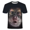 Herr t-shirts 3d mode rolig apa grafik t skjortor sommar casual djur mönster mäns t-shirt ny hip hop tryck kort ärm t-shirts topps 022223h