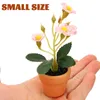 Flores decorativas 2 PCs Plantas de Bonsai em miniatura Tiny Flower Pot Toy House simulada em vaso