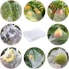 20 pz/set Uva Sacchetti di Rete di Protezione Verdura Frutta Giardino Sacchetti di Maglia di Controllo Dei Parassiti Agricoli Anti-Uccello Maglia Sacchetto di Uva