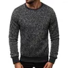 Pulls pour hommes Pull décontracté pour hommes Automne Hiver Jumper O Neck Knitted Warm Knitting