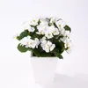 Fleurs décoratives htmeing artificiel géanium bégonia soie fausse hydrangea fleur fleur home bureau décoration de mariage