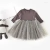 Girl Dresses Baby Kids Mesh Princess Dress Long Sleeve Round Neck Tulle Skirt Holiday Birthday Party Pography 2023 Autumn Spring