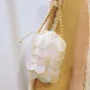 natural shell handbag