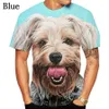 Herr t-shirts yorkshire terrier anime kläder 3d tryck man kvinnors t-shirt harajuku kort ärm o-hals casual rolig t-shirt 022223h