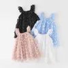 Robes de fille 4 couleurs été nouveau mignon papillon 3D brodé filles robe en maille manches volantes fête d'anniversaire soeurs robe de princesse Tulle 1-6T