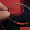 Box Titanium Love Bangle Bileklik Kadın Adam Moda Lüks Vida Bangles ile CHARM BRACELETS Sevgili Altın Tasarım Çivi 4 CZ Boyut D DHCNV