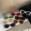 Sonnenbrille Neue Kleine Rahmen Cat Eye Sonnenbrille Trendy Mode Frauen Weibliche Hip-Hop Bunte Brillen Beliebte Marke Designer Reisen Shades G230214