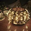 Strings 10M Led String Lights 100 Leds Twinkle 33 Ft Copper Wire For Indoor Outdoor Christmas Decorative