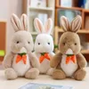 Mignon radis lapin en peluche poupée en peluche bureau sieste oreiller maison confort coussin décor cadeau 25 cm E19