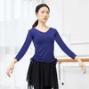Stage Wear Style V-neck Dance Practice Dress Top Female Figure Long Dleeve Latin Classical Folk Training
