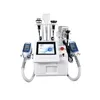 360 Terapia Cryolipolysis macchina dimagrante portatile Cryolipolisis Cryo Machine Freeze Fat Home strumento di bellezza