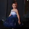 Robes de fille nouvelles filles princesse gaze robe moelleuse bébé filles paillettes gradient bleu tutu robes de fête de communion formelle robe de bal en soirée w0224