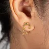 Charme mignon grenouille forme boucles d'oreilles pour femmes hommes drôle Animal boucles d'oreilles déclaration couleur argent oreille Piercing bijoux cadeau