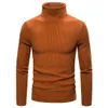 Herrtshirts Autumn and Winter Turtleneck tröja manlig koreansk version casual allmatch stickad botten skjorta 230223