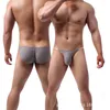 Underpants Sexy Underwear Men Briefs Male Mini Panties Penis Pouch String Low Waist Bikini Hombre Lingerie Erotic