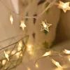 Cordes 2/3/6m LED étoile à cinq branches guirlandes lumineuses alimenté par batterie atmosphère lampe décorative fête de mariage rideau fée
