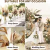 Decorative Flowers 85pcs Dried Flower Bouquet White Pampas Grass Dry Eucalyptus Decor Tall