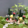 Decorative Flowers Realistic Appearance Stone Base Resin Artificial Cactus Fake Flower Ornament For Doll House