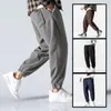 Men's Pants Spring Autumn Fleece Korean Versatile Haren Loose Joggings Work Clothes Drop Croch Harem Jogger Sweatpant Man Trousers