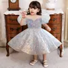 Flickans klänningar Girls Dress Blue Embroidered Sequin Puff Sleeve Princess Dress Girl Baby Birthday Puff Dress Piano Performance Dress W0224