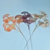 Fleurs décoratives plantes artificielles faux mariage feuille de Ginkgo branche feuilles maison boutique décor décoration