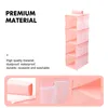 Storage Bags Hanging Wardrobe Sock Shelves Closet Organizer Shelf Handbag Clothes Bins Cloth Accessories Shoes Holder Container