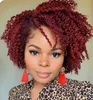 Synthetic Wigs Lekker Short Curly Human Hair Wigs For Black Women Pixie Bob Afro Kinky Brazilian Remy Natural Part Side With Bangs Cheap Wigs T220907