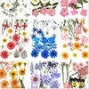 Decoratieve bloemen kransen echte bloem geperst net rode sticker gezicht decoratie ooghoek bloemblaad make -up feeën bruids make -updecoratief