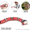 Toys de gato Snake eletrônica de cobra interativa carregando sensor inteligente para gatos cães gatinhos de estimação brinquedo