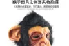 Máscaras de festa Planeta dos Macacos Halloween Cosplay Masquerade Máscara Trajes do Rei Macaco Caps Realista Y200103 Drop Delivery 2 Home Ga Dhkfg