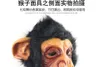 Party Masks Planet Of The Apes Halloween Cosplay Masquerade Mask Monkey King Costumes Caps Realistic Y200103 Drop Delivery 2 Home Ga Dhkfg